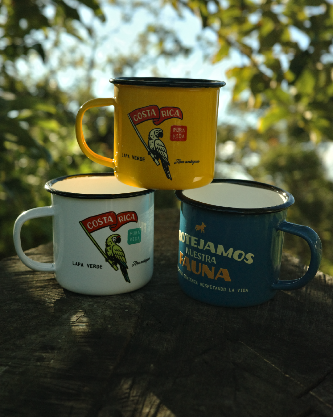 Taza Lapa Verde