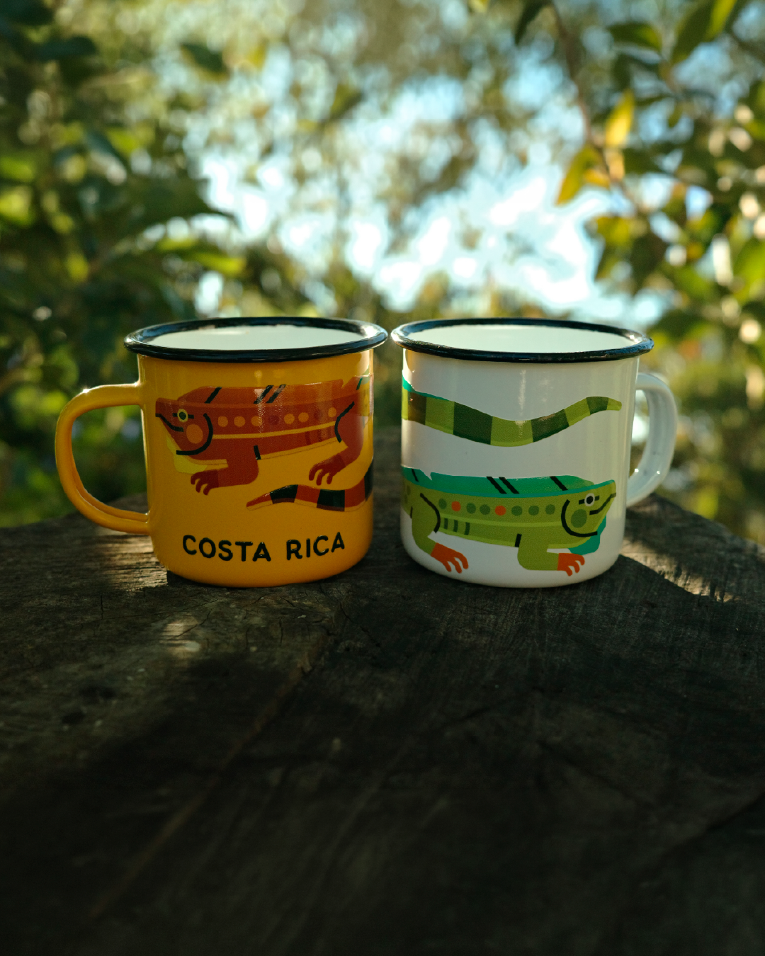 Taza Iguanas