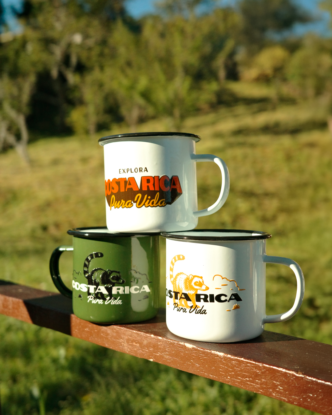 Taza Pizote